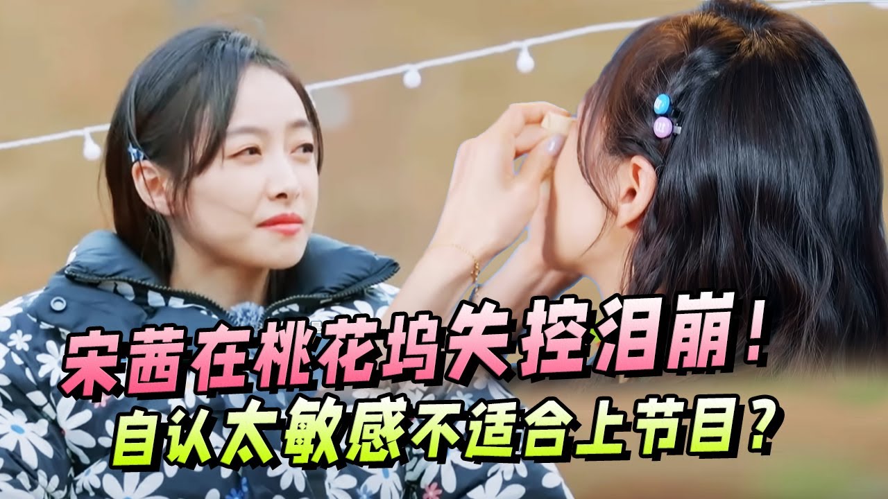 宋茜在桃花坞崩溃落泪！看到王鹤棣状态那么轻松感叹自己做错了！【五十公里桃花坞S3】王鹤棣|李雪琴|宋茜|汪苏泷|徐志胜|宋丹丹|辣目洋子 #综艺 #搞笑