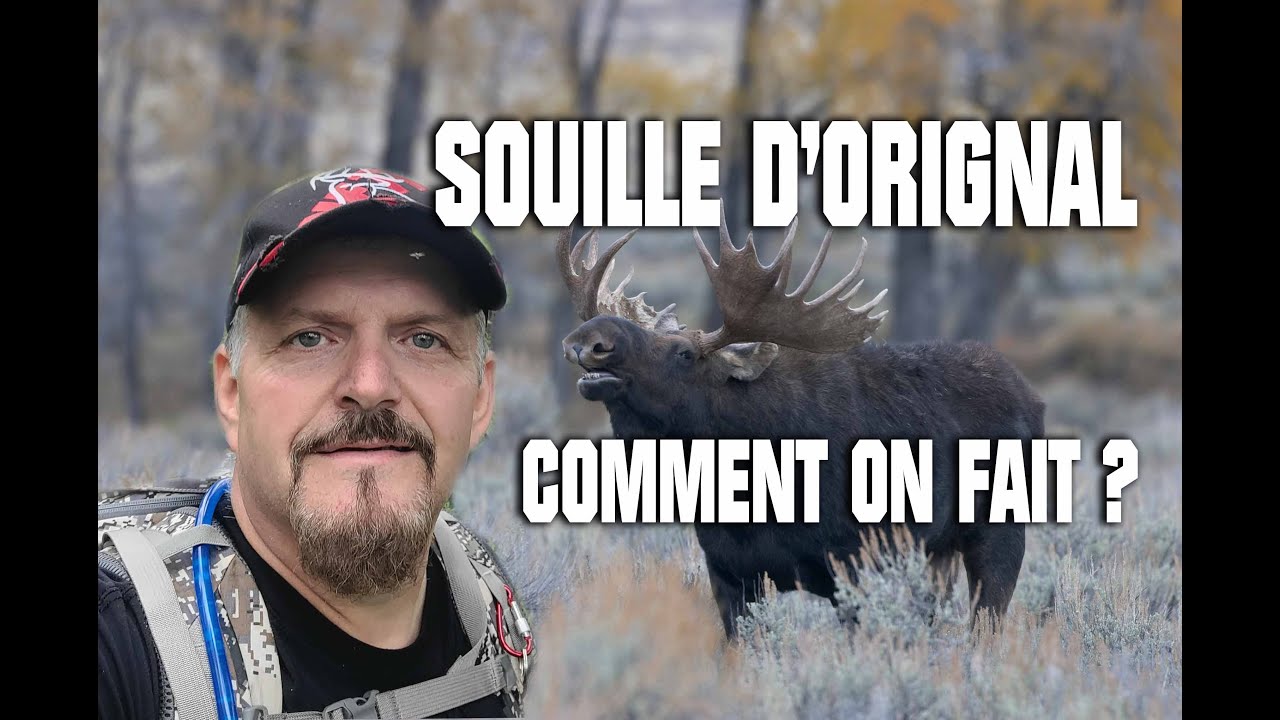 Souille d'orignal avec Steph Monette de la Ferme Monette