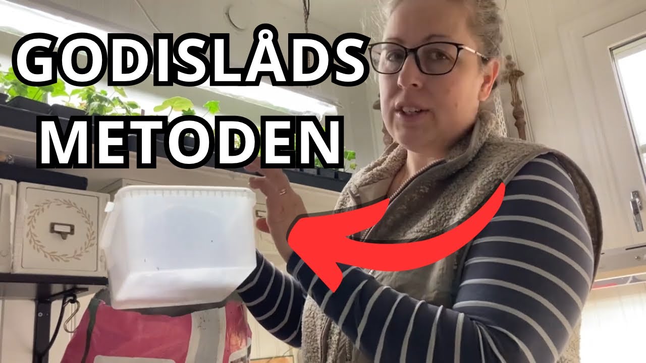 ODLA KRAFTIGARE PLANTOR genom att använda GODISLÅDSMETODEN