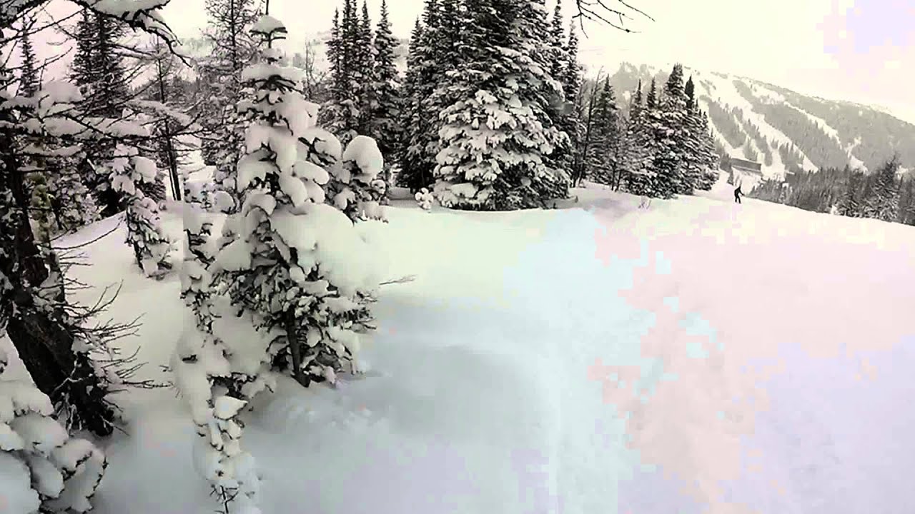 SSV   Between 2 Trees