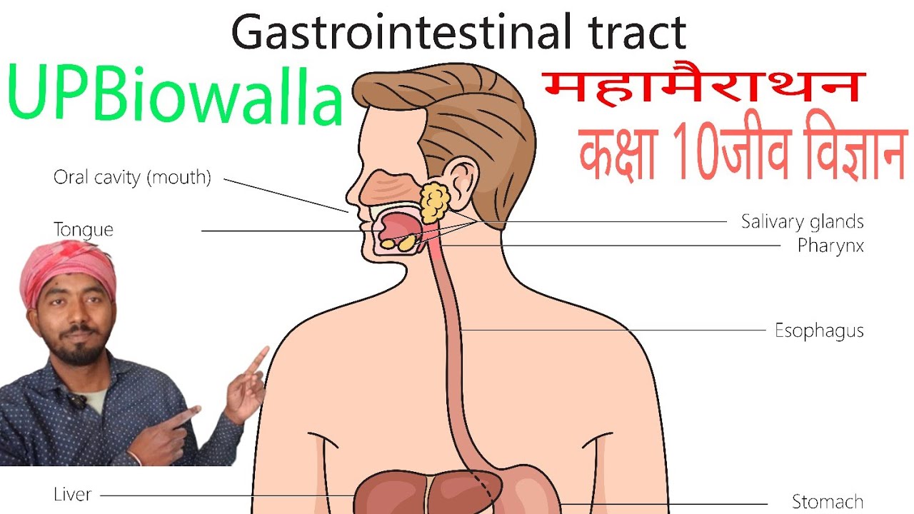 UPBIOWALLA is live class 10 biology 