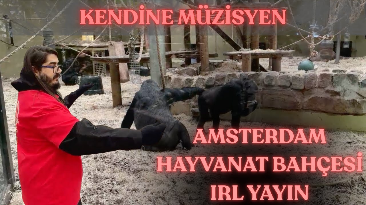 KENDİNE M&Uuml;ZİSYEN AMSTERDAM HAYVANAT BAH&Ccedil;ESİ IRL YAYINI #kendinem&uuml;zisyen #irlstreaming #kick