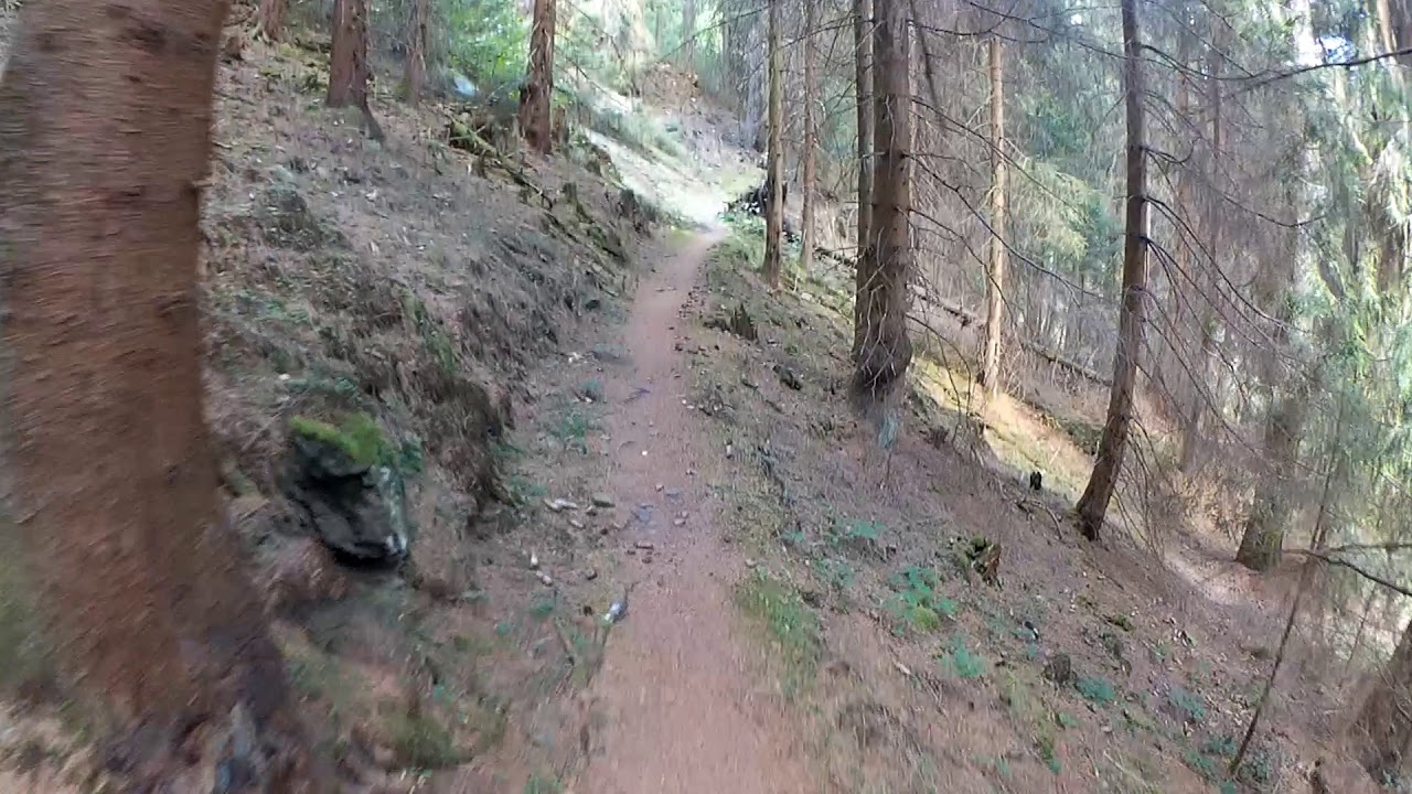 SingleTrail Wildemann - Lauthental