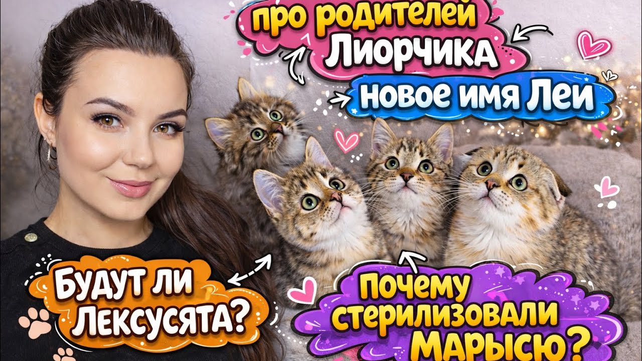 Отвечаю на вопросы ❤️
