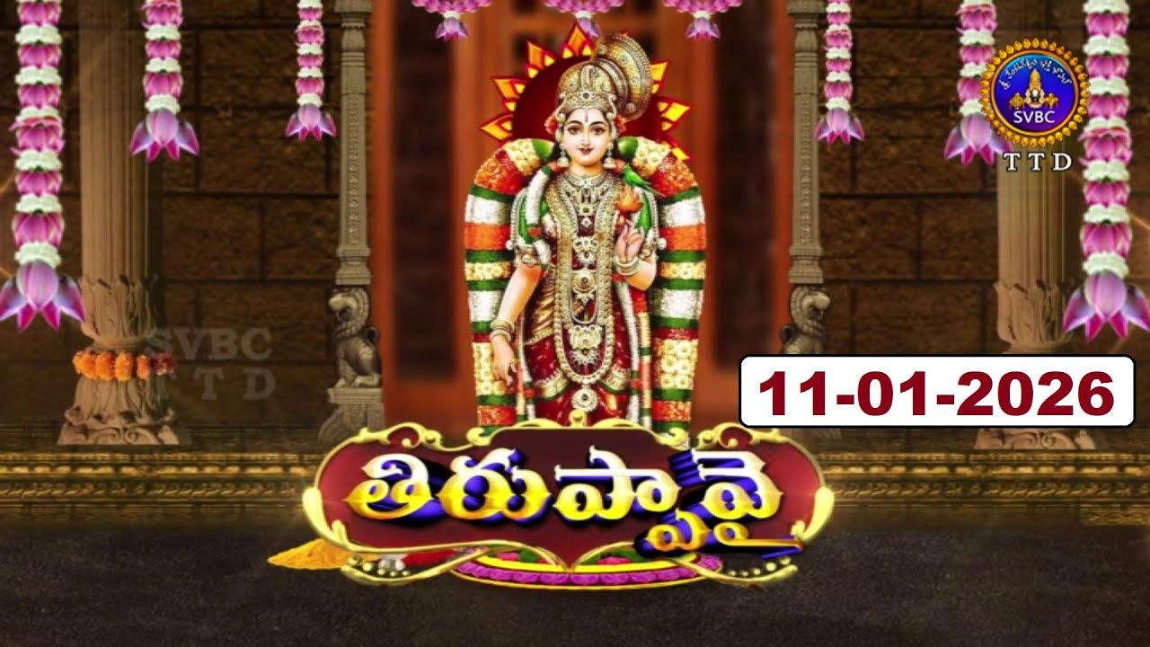 ధనుర్మాసోత్సవం తిరుప్పావై || Dhanurmasotsavam || Tiruppavai || Tirumala || 11-01-2026 || SVBC TTD