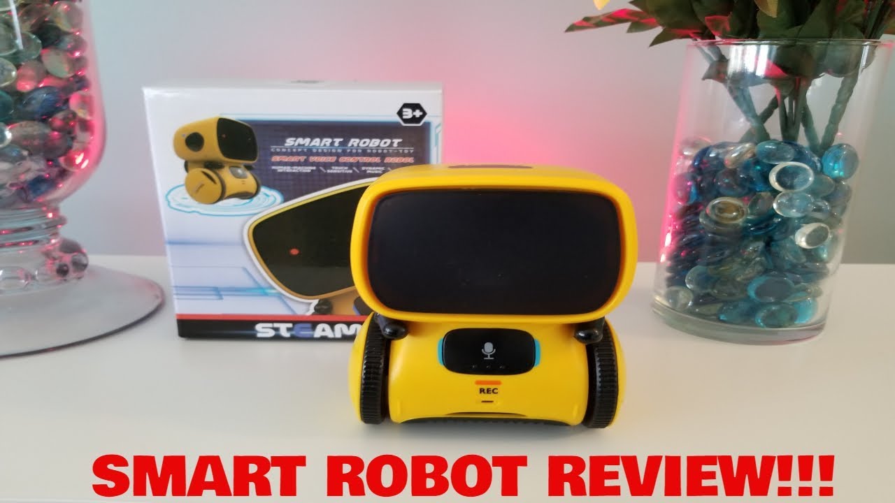 Обзор и видеоинструкция по эксплуатации интерактивного робота SMART Robot STEM от A.T.