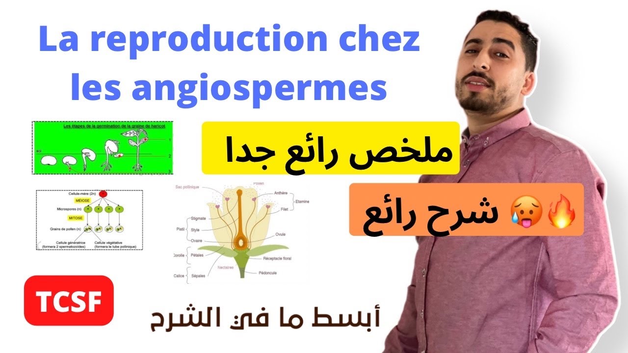TCSF : Résumé | La reproduction chez les angiospermes 🔥 ملخص رائع جدا ✅ Cours complet 😱