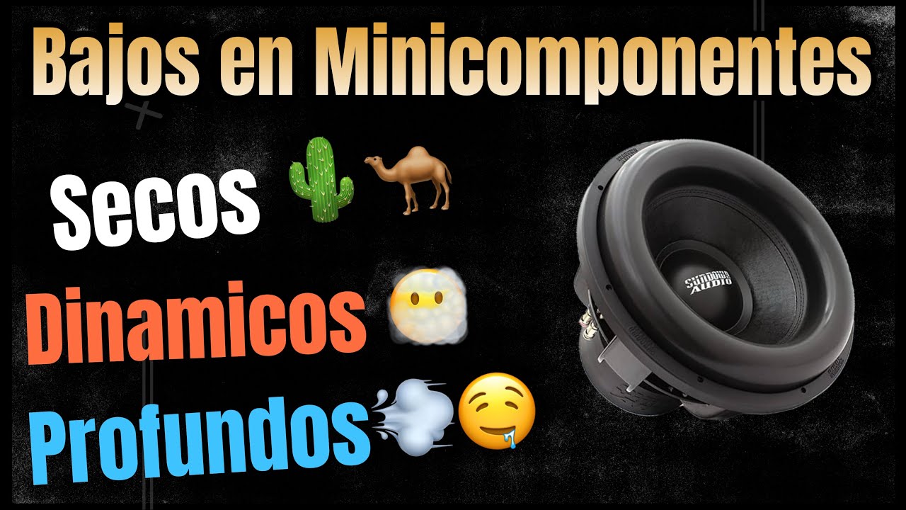 Tipos de Bajos🔊 (Subgraves) en Minicomponentes  - Clasificacion y Pruebas🧏🏻‍♂️