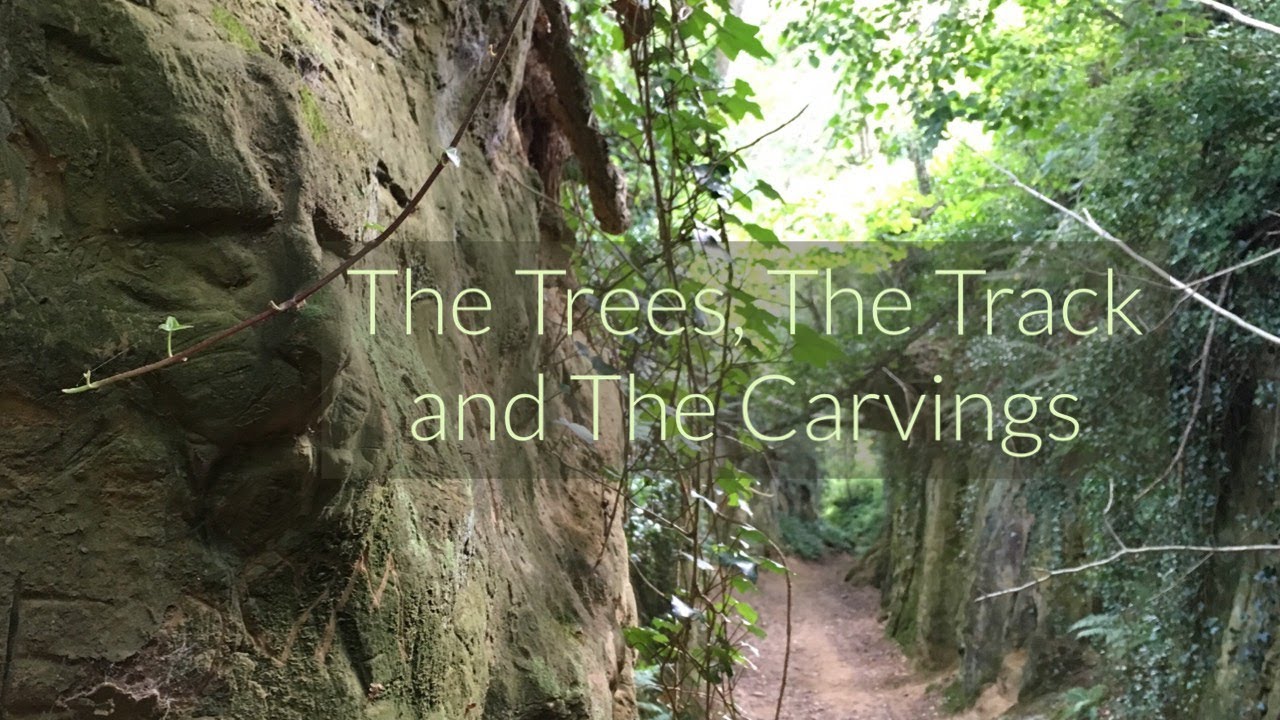 The Trees, The Track and The Carvings - a walk up ancient Hell Lane, Symondsbury, Dorset