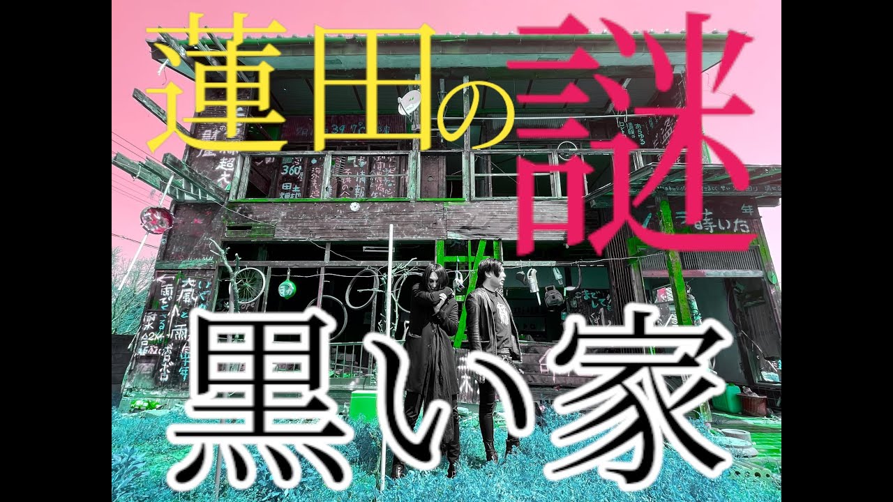 【旅行記】蓮田の黒い家とはなんぞや？【珍スポット？】