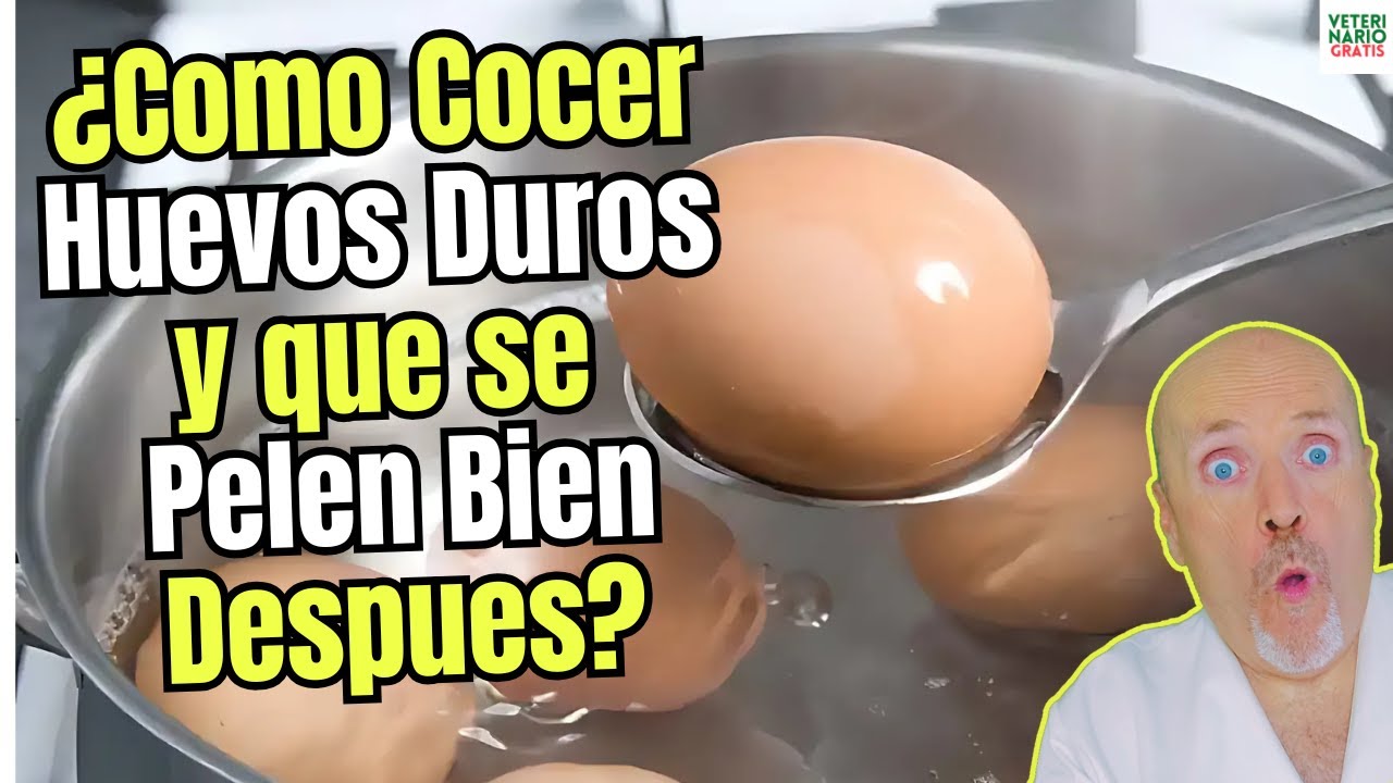 ¿COMO COCER HUEVOS DUROS Y QUE SE PELEN BIEN DESPUES?