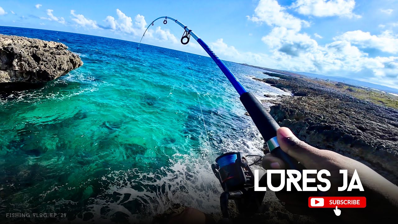 I Think They Love This Lure
