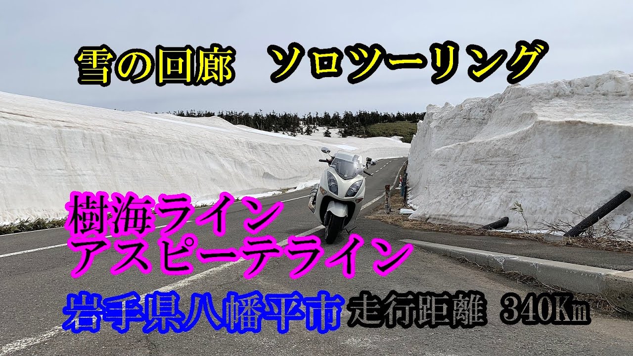 【ソロツーリング】YAMAHA マジェスティで行く 岩手県八幡平市 アスピーテライン雪の回廊 ツーリング