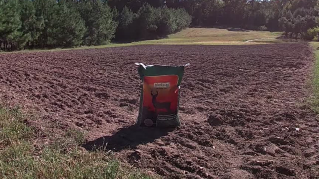 PLOT SPIKE FORAGE FEAST FOOD PLOT 2022! #foodplots #foodplot