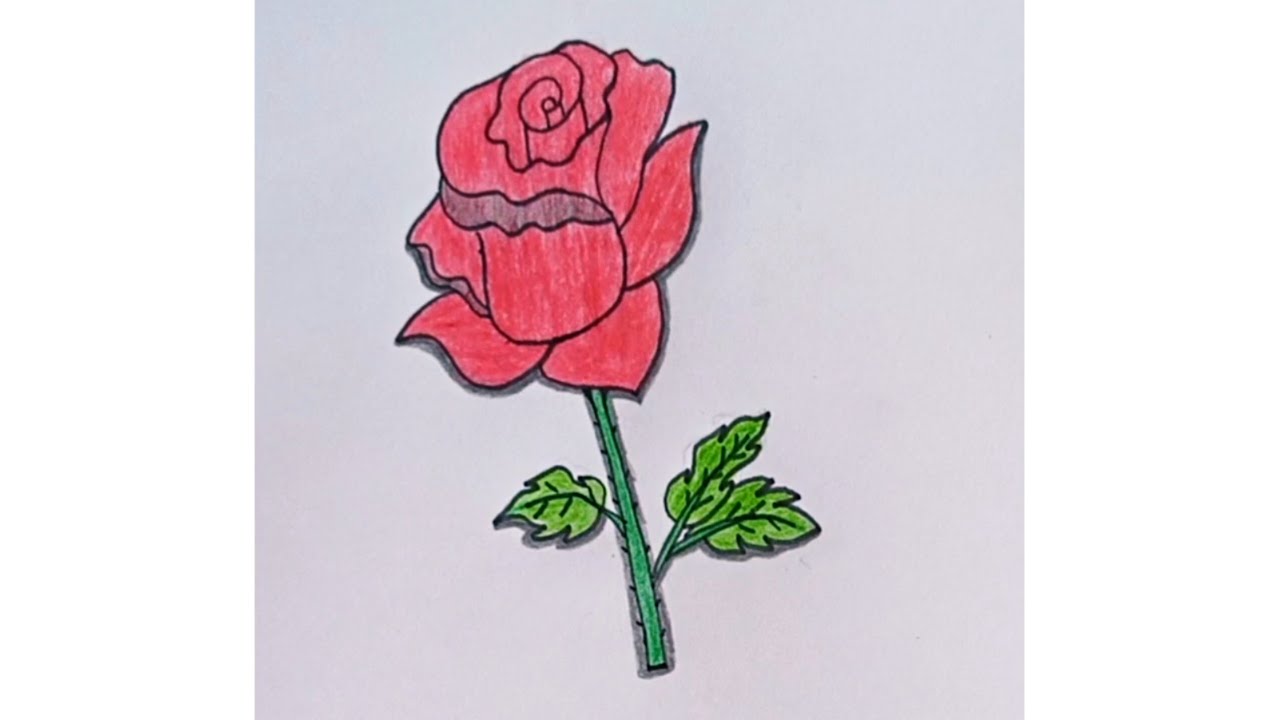 How to draw a rose 🌹#Drawing #Easy Drawing #art #S. B. Art 