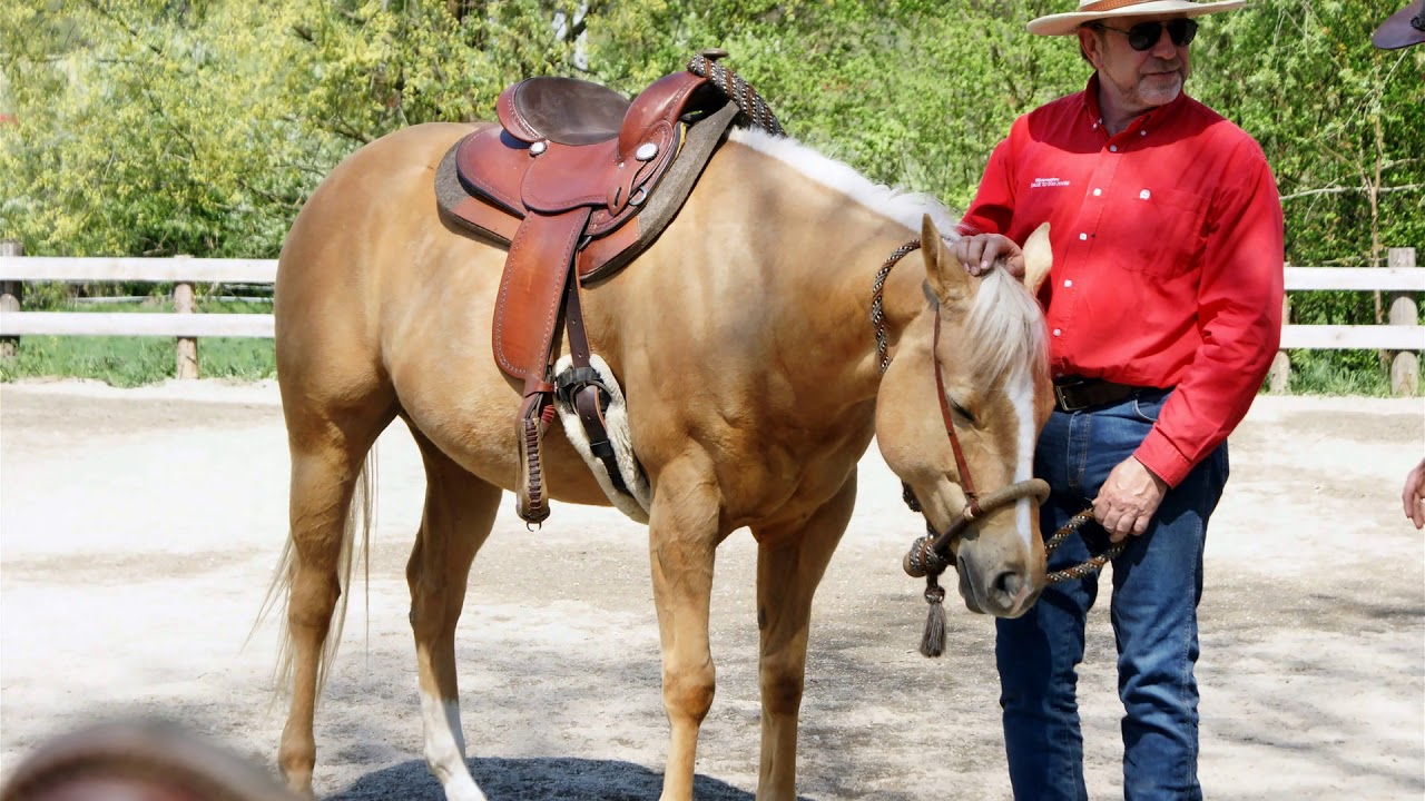 Reitkurs mit Kurt Murauer