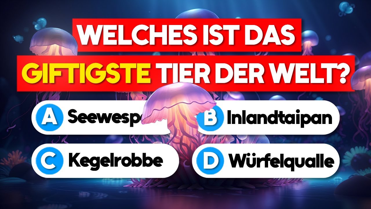 Kannst du alle 25 Fragen beantworten? 🧠 | Allgemeinwissen Quiz