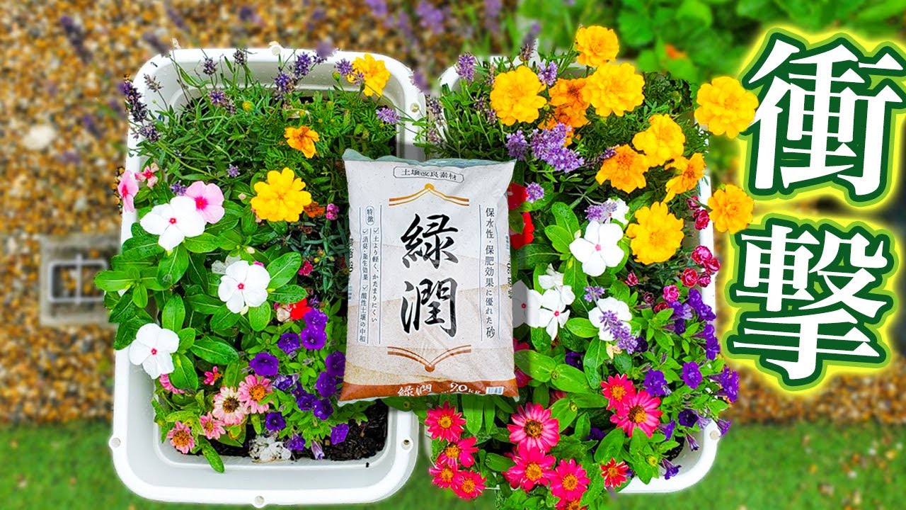 【緑潤】瓦から出来たとんでもない園芸資材【芝生OK】