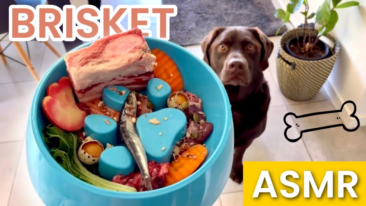 Raw Feeding Dog Mukbang | Brisket Bone ASMR