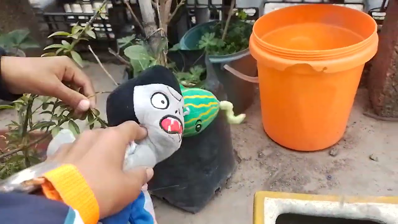 Plantas vz sobies peluche: abandono de pulpi