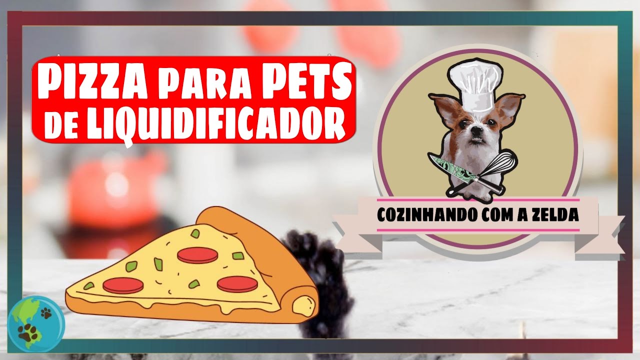 Vai uma PIZZA DOG de Liquidificador? Cachorro também merece a NOITE DA PIZZA!