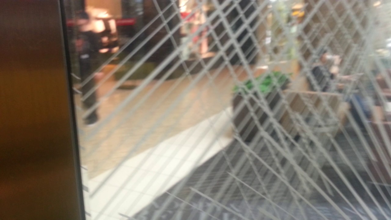 EPIC MOTOR on the Otis Hydraulic Glass Elevator @ the Cherry Creek Mall in Denver, CO