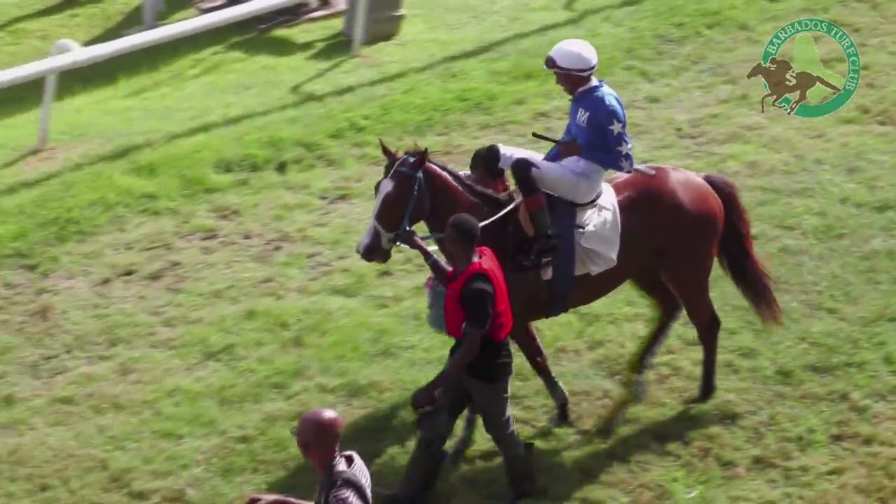 BTC RACE DAY 17TH JAN 2026   RACE 3