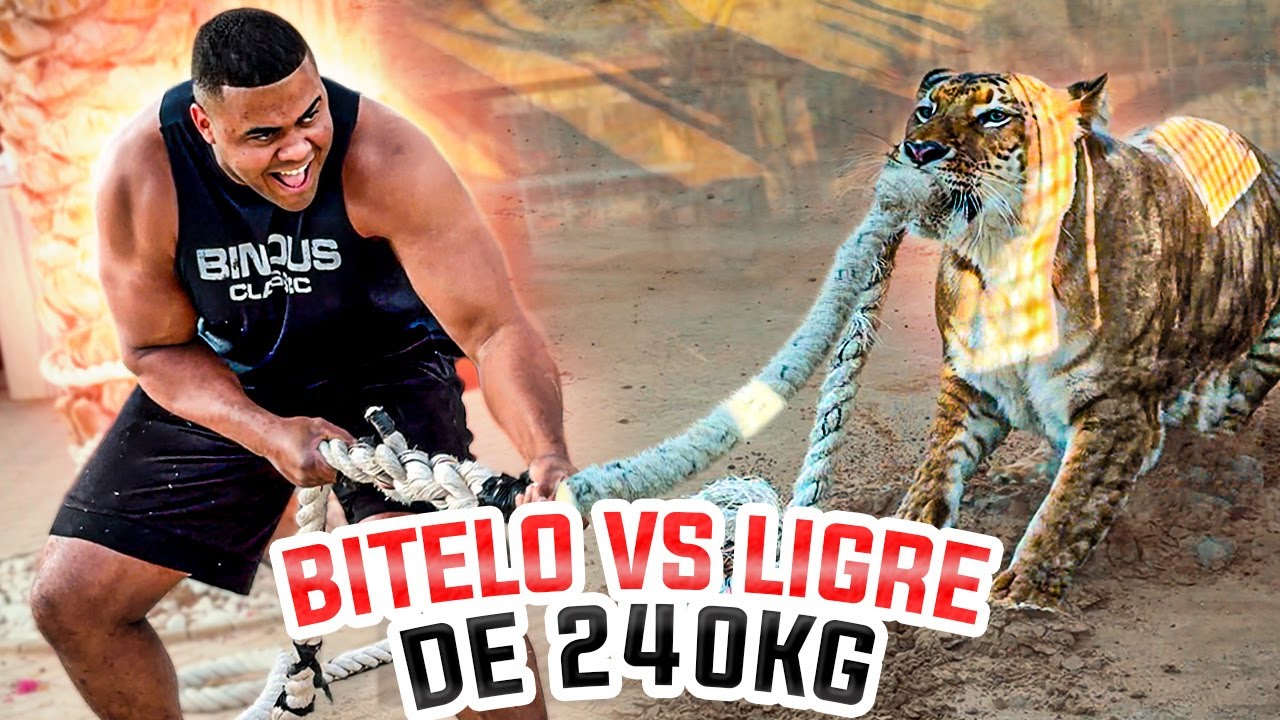 BITELO FEZ UM CABO DE GUERRA  COM O LIGRE EM DUBAI