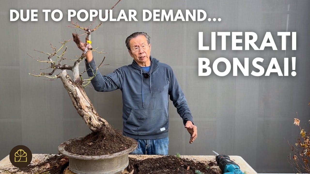 Design a Literati Style Bonsai with Me!