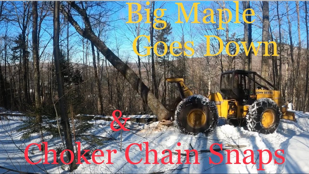 John Deere Skidder VS Gigantic Maple Tree & Broken Chain Fail -- Winter Logging At Its Finest