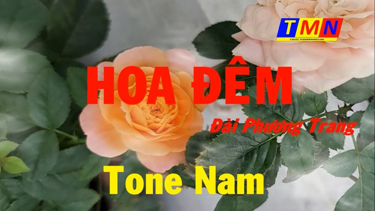 [KARAOKE] Hoa đêm (Đài Phương Trang Pre.75) – Tone Nam (D) – #coverbytmn