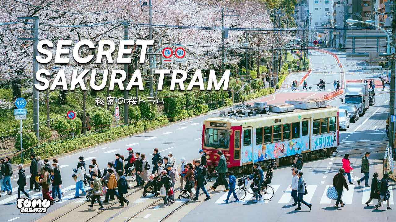 [4K Walk] Tokyo&rsquo;s Hidden Sakura Gems 🌸 Asukayama, Arakawa Tram & Yanaka Cemetery