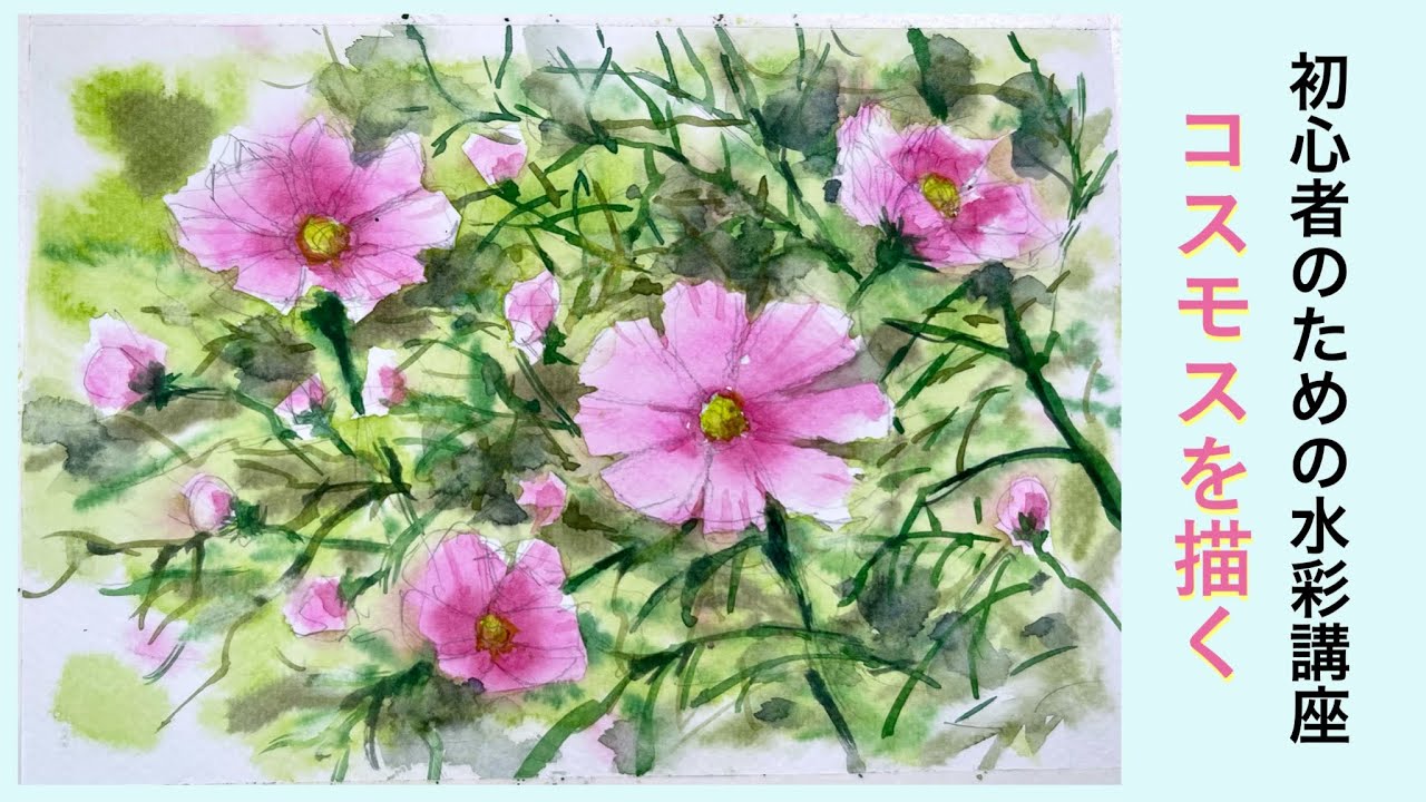 【初心者のための透明水彩】技法/コスモスの描き方/秋桜/花