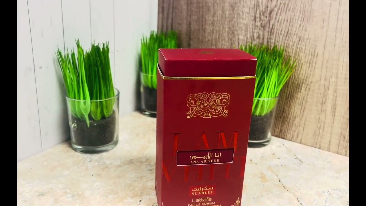 “$22.95 vs $200+? 👀 Ana Abiyedh Scarlet by Lattafa”
