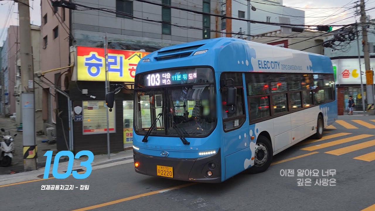 [4K] 같지만 다르고, 다르니까 비로소 아름답다 | 부산, 서울 103번 버스