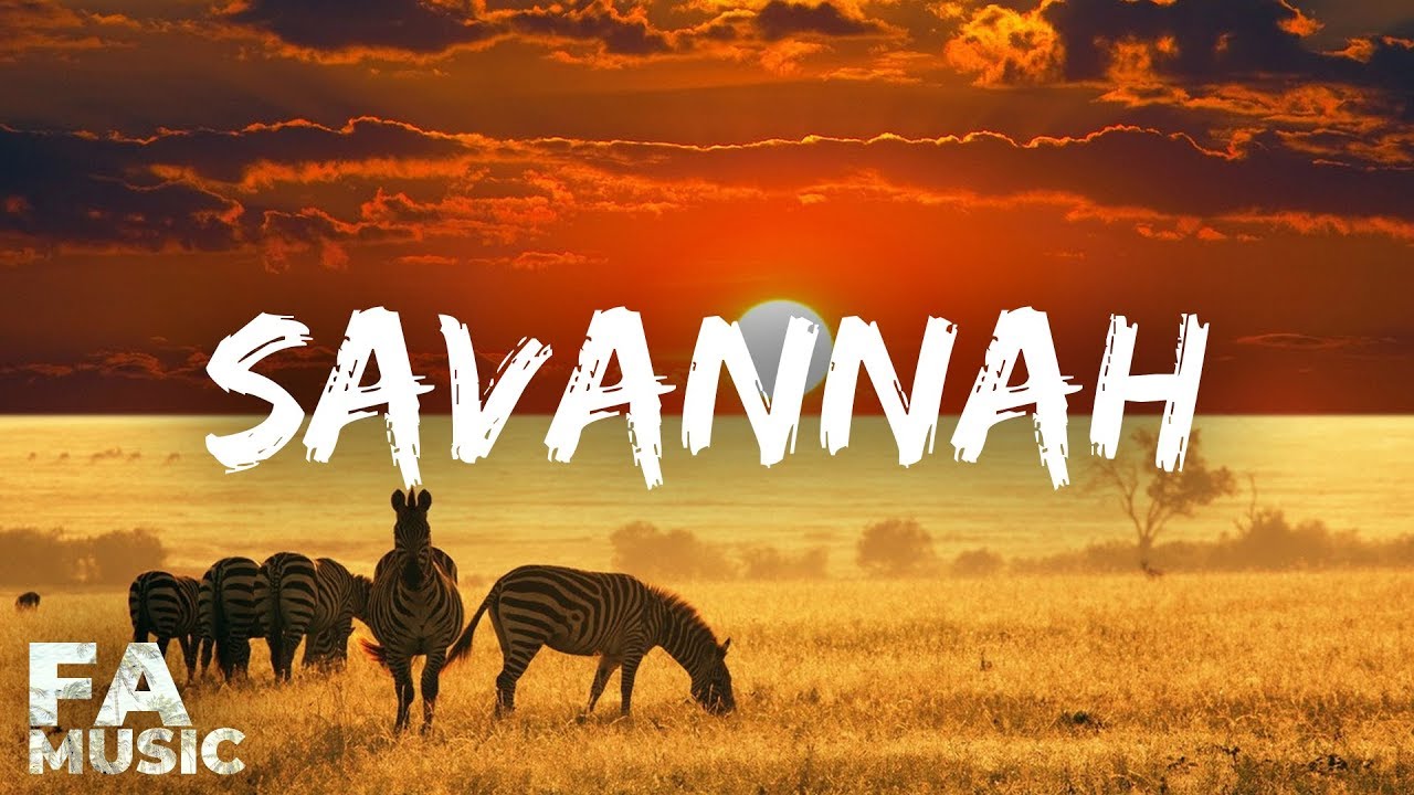 Kygo style │ Savannah &ndash; Diviners ft. Philly K