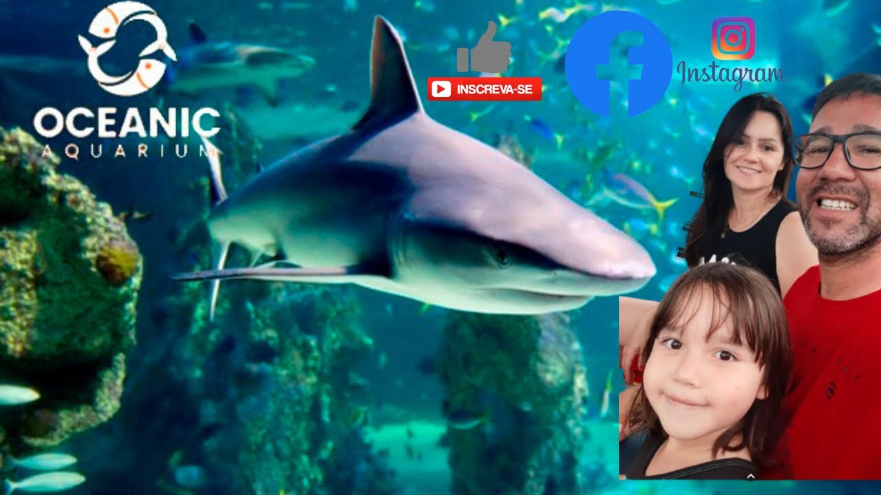VISITANDO OCEANIC AQUÁRIO EM BALNEÁRIO CAMBORIÚM, PEIXE EXÓTICO, SUCURI E TUBARÃO. PIETRO NATEL