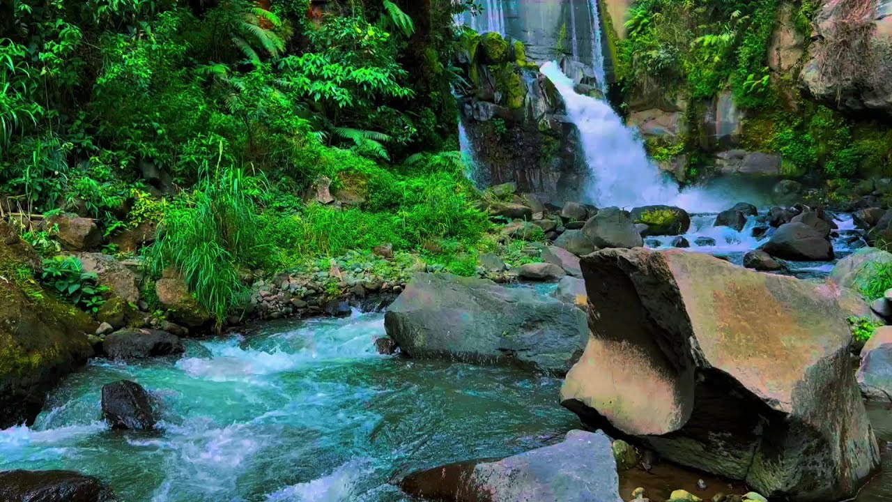 Beautifull Forest River Relaxing water sound, waterfall sounds white noise, river sound for sleeping