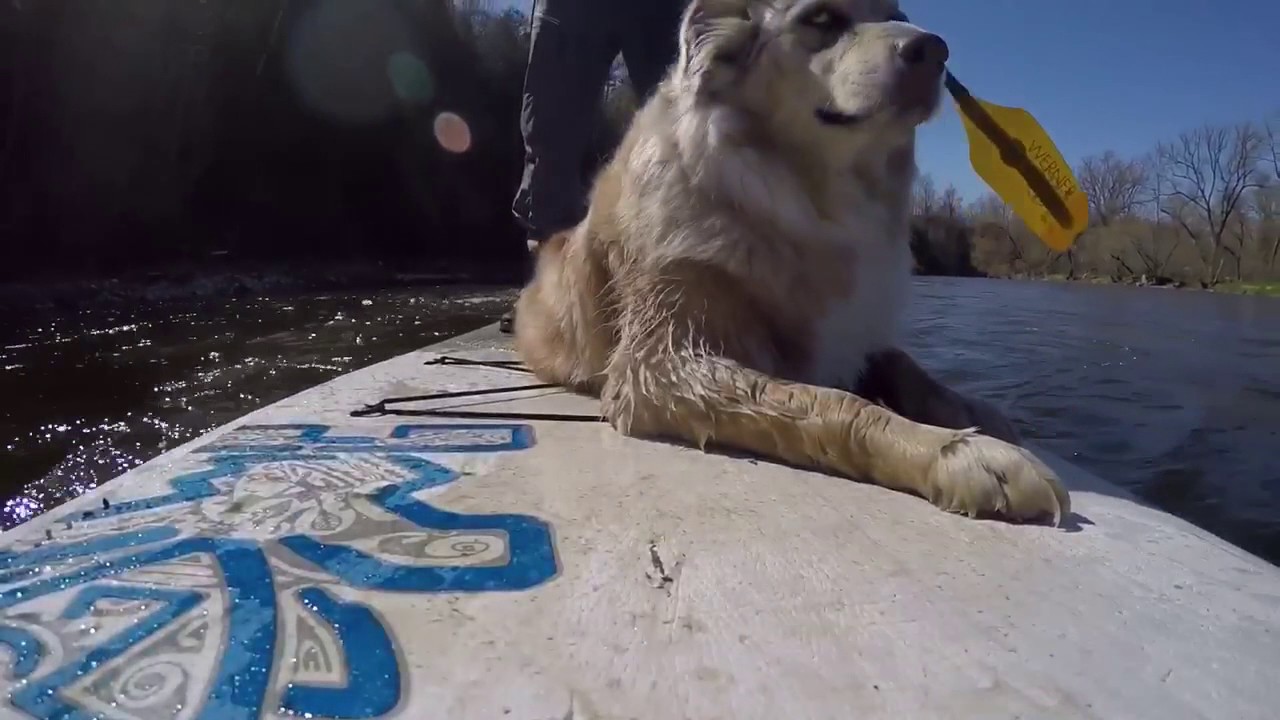 Benson SUP