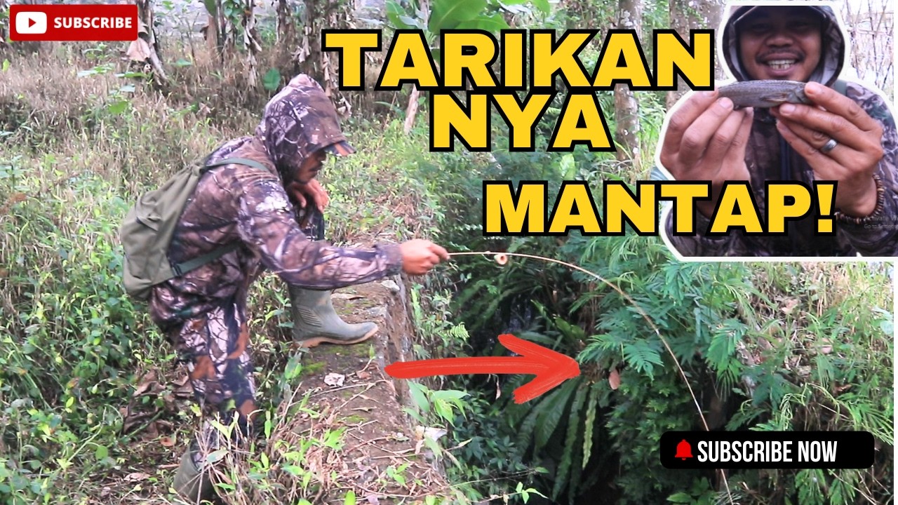 Mancing Sore Hari! Target sidat, Malah Wader & Channa Ikut Strike #mancing #fishing #mancingmania