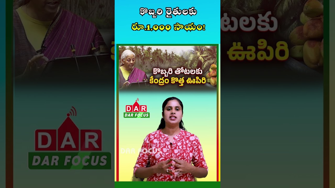 AP Government Aid: ₹1,000 Per Coconut Tree for Damaged Trees | DAR FOCUS #darfocus