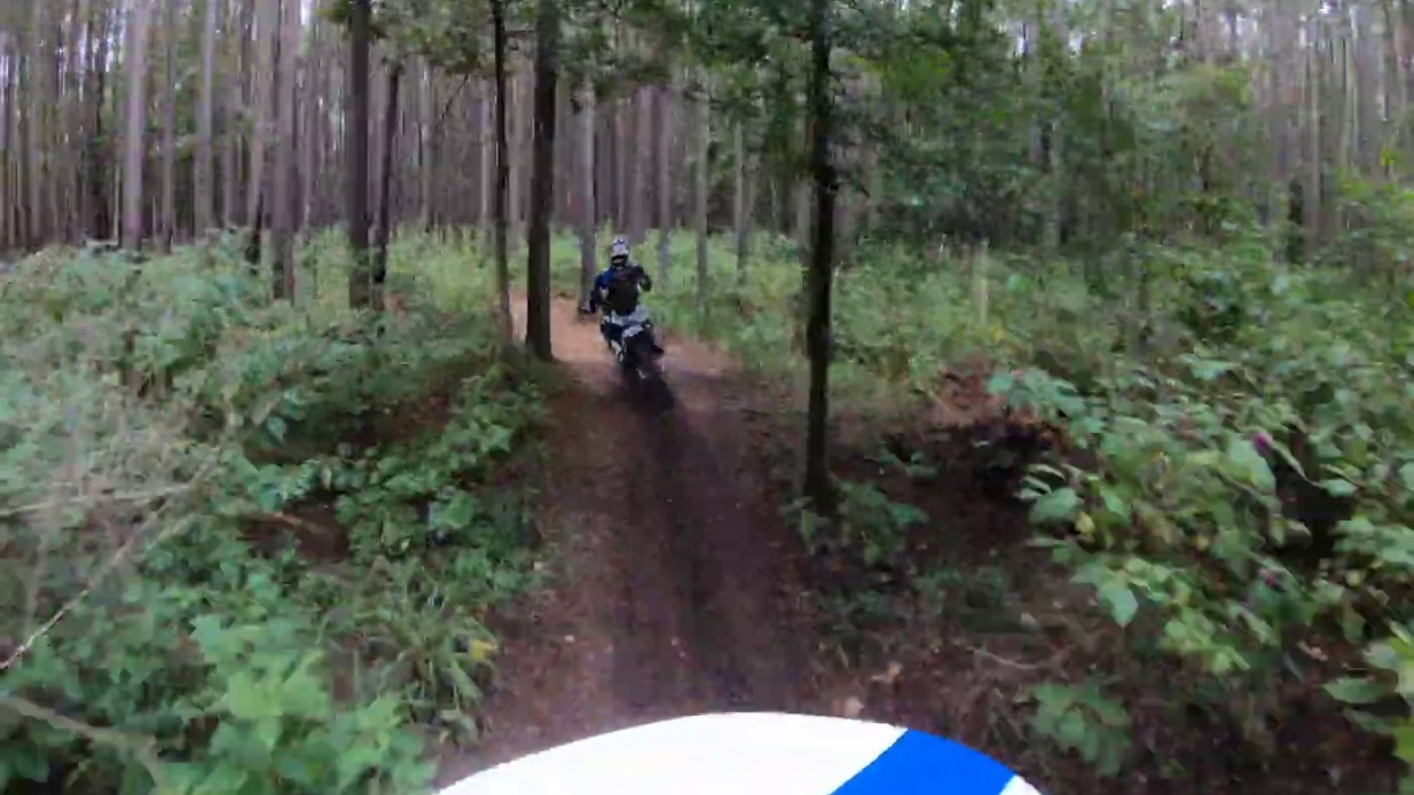 Sam Houston National Forest Big Loop Part 3