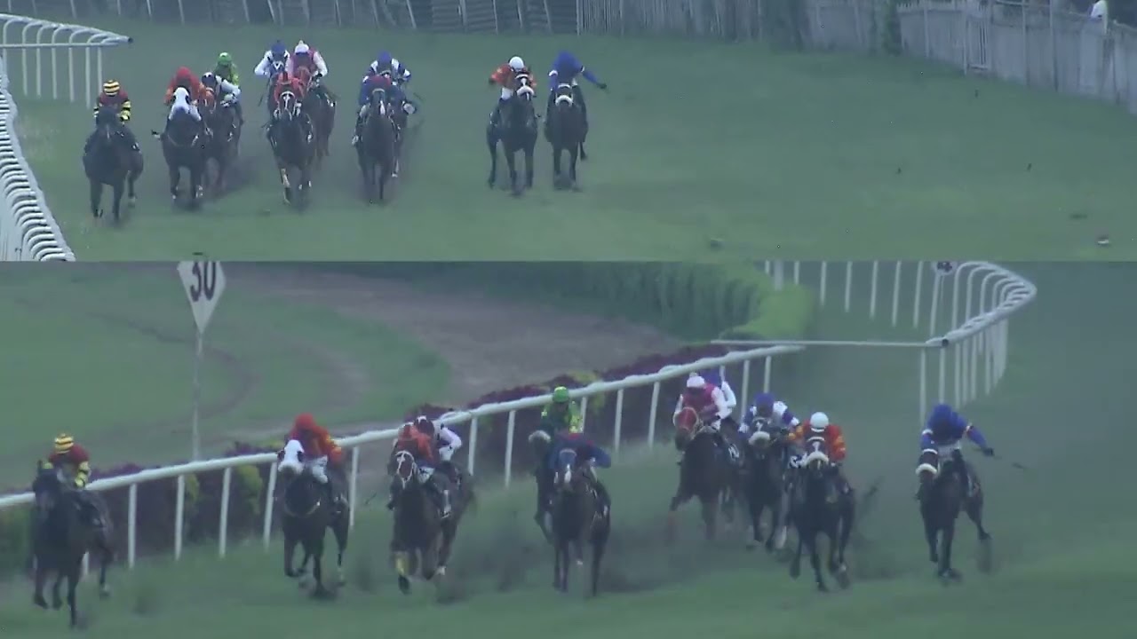 MI ARION побеждает в скачках Antequera Handicap.
