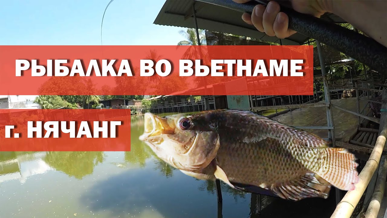 Рыбалка в Нячанге. Ловим рыбу во Вьетнаме на поплавок!