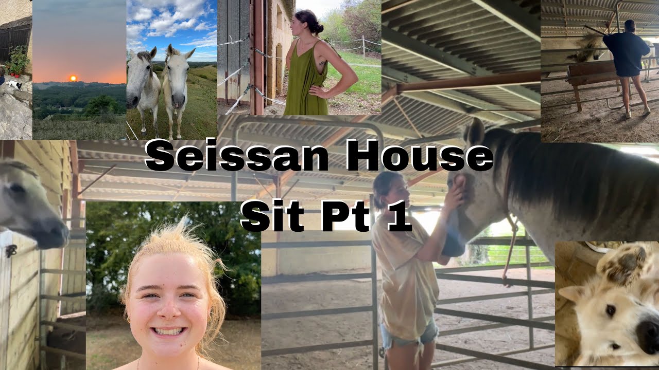 little vlog of the house sit in the Mid Pyrenees🫶🏼
