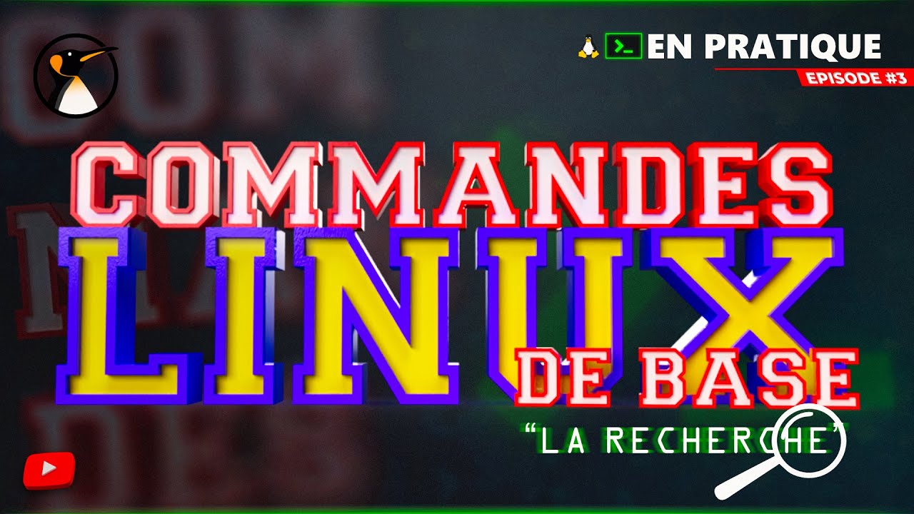 Commandes Linux de Base - Chapitre 3 : La Recherche