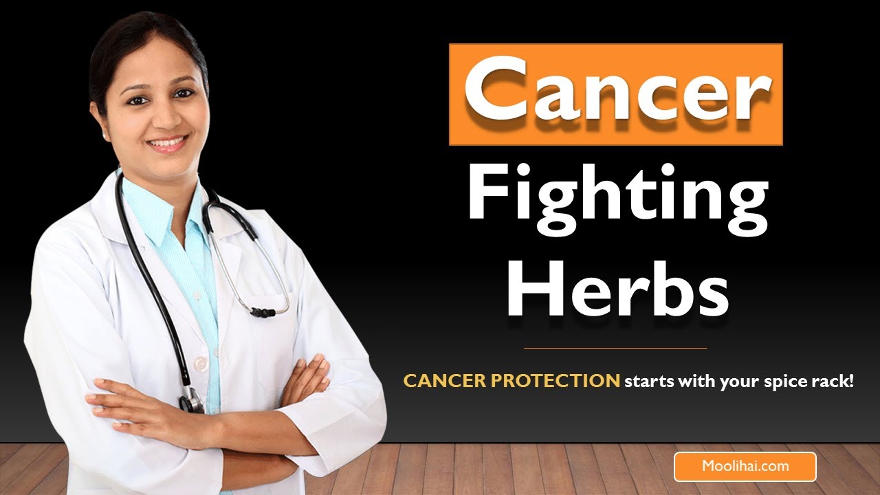 10 Best Herbs to Treat Cancer - Moolihai Herbal Store