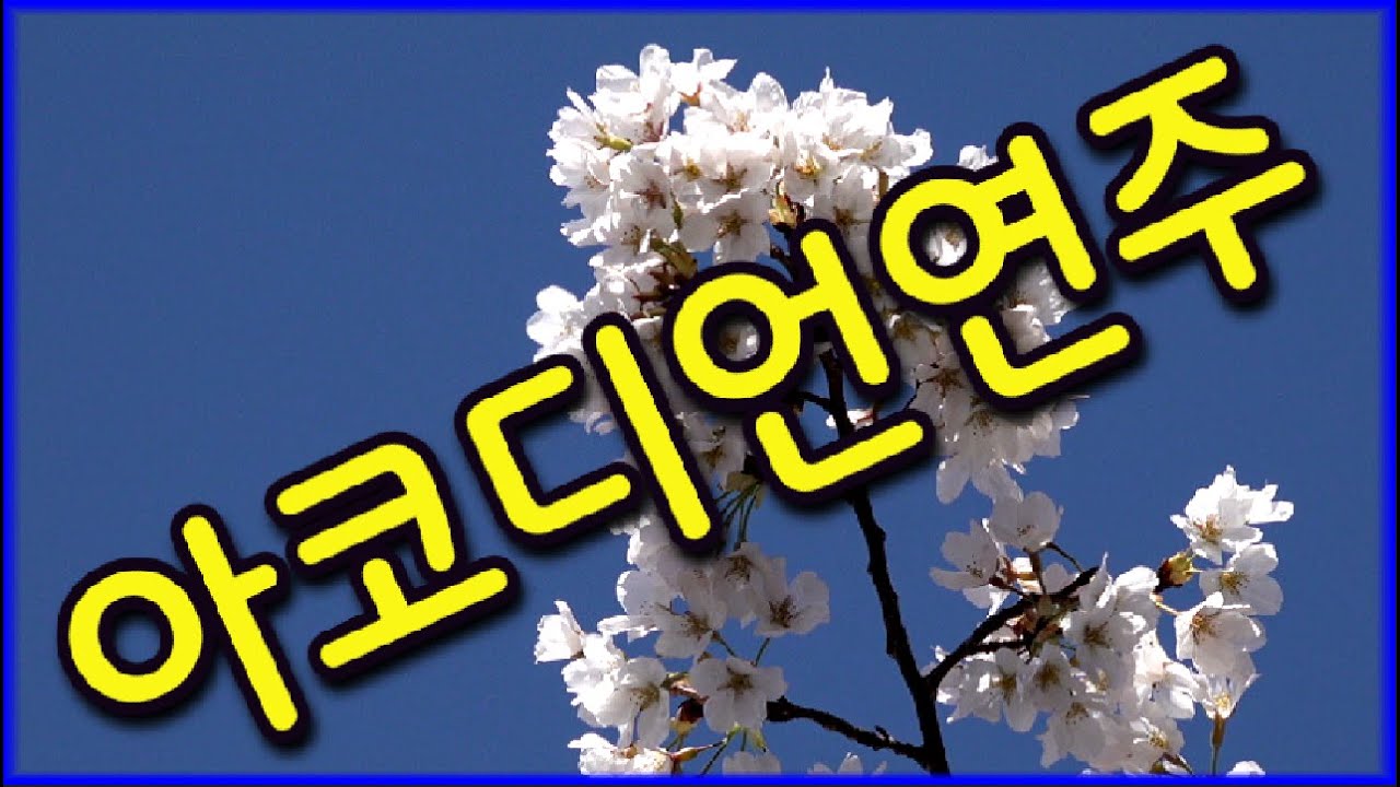 기타아코디언연주곡 ❤️안동화희마을배경영상❤️ #경음악 #관광 #디스코 #뽕짝 #가요 #트로트 #쌍쌍가요 (125)