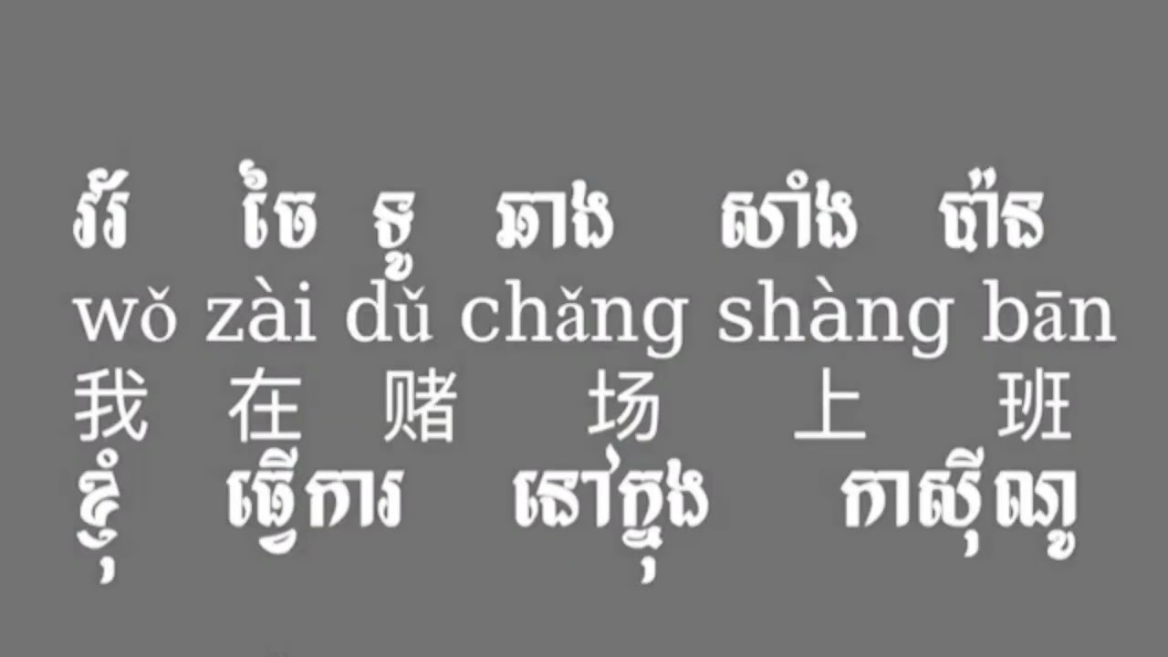 រៀនចិន តើអ្នកធ្វើការនៅឯណា? ប្រយោគសំខាន់ៗ #learnchinese #chineselanguage #学习中文 