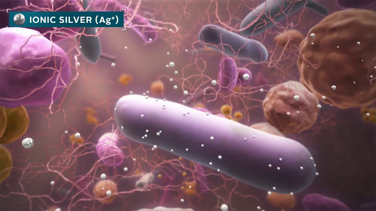 How MORE THAN SILVER™ disrupts and destroys biofilm